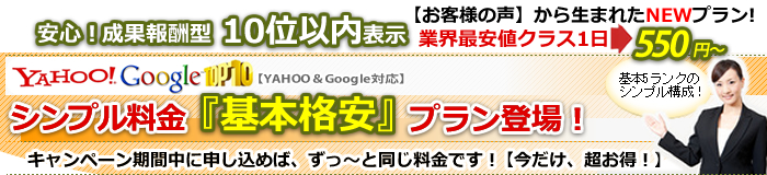 基本格安料金プラン